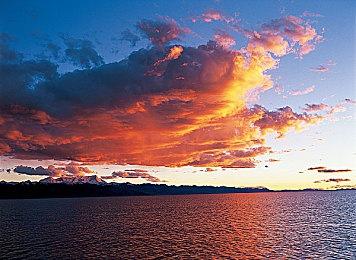 《冤罪执行游戏Yurukill》上架Steam 7月8日发售